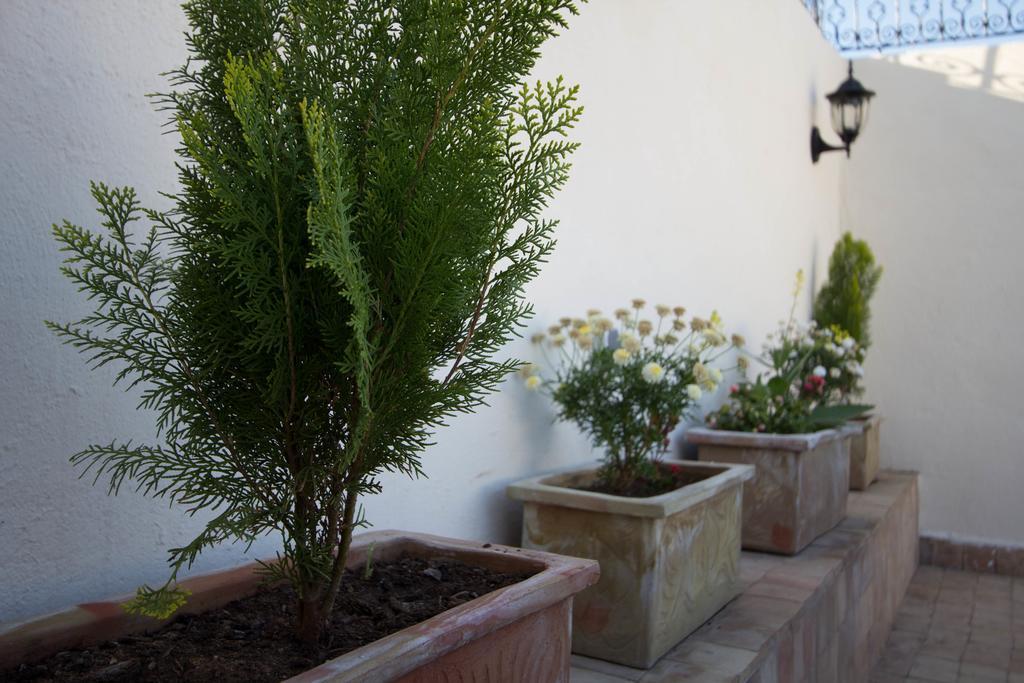 פס Riad Taha מראה חיצוני תמונה