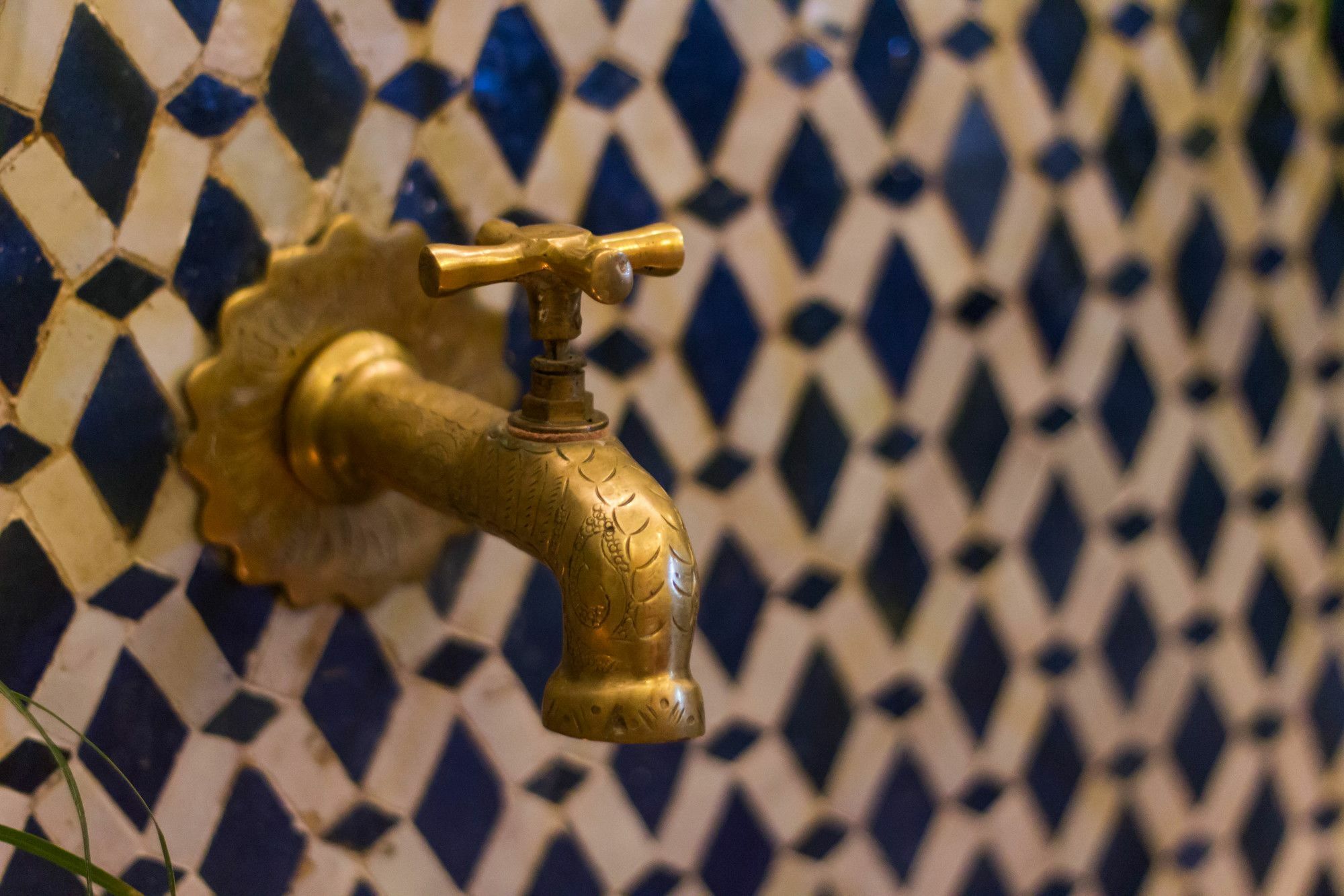 פס Riad Taha מראה חיצוני תמונה