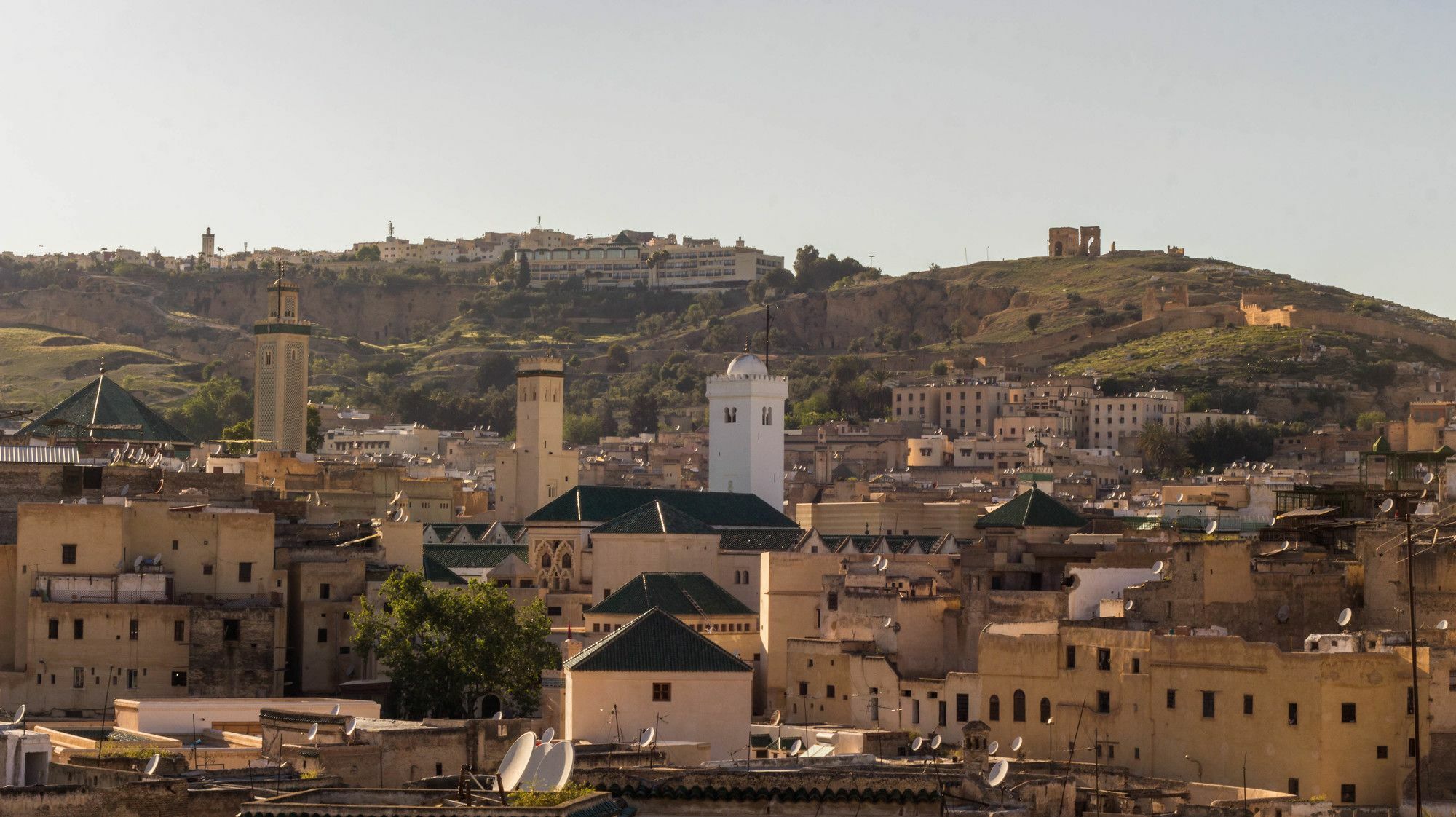 פס Riad Taha מראה חיצוני תמונה
