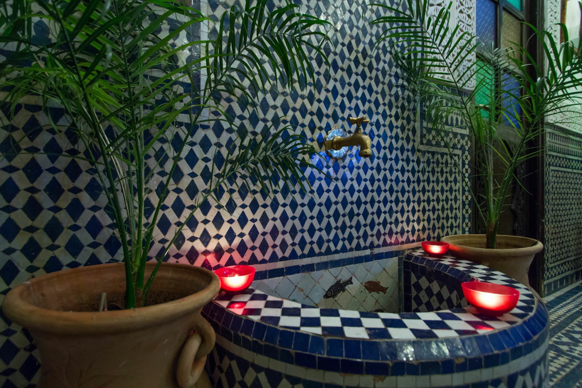 פס Riad Taha מראה חיצוני תמונה
